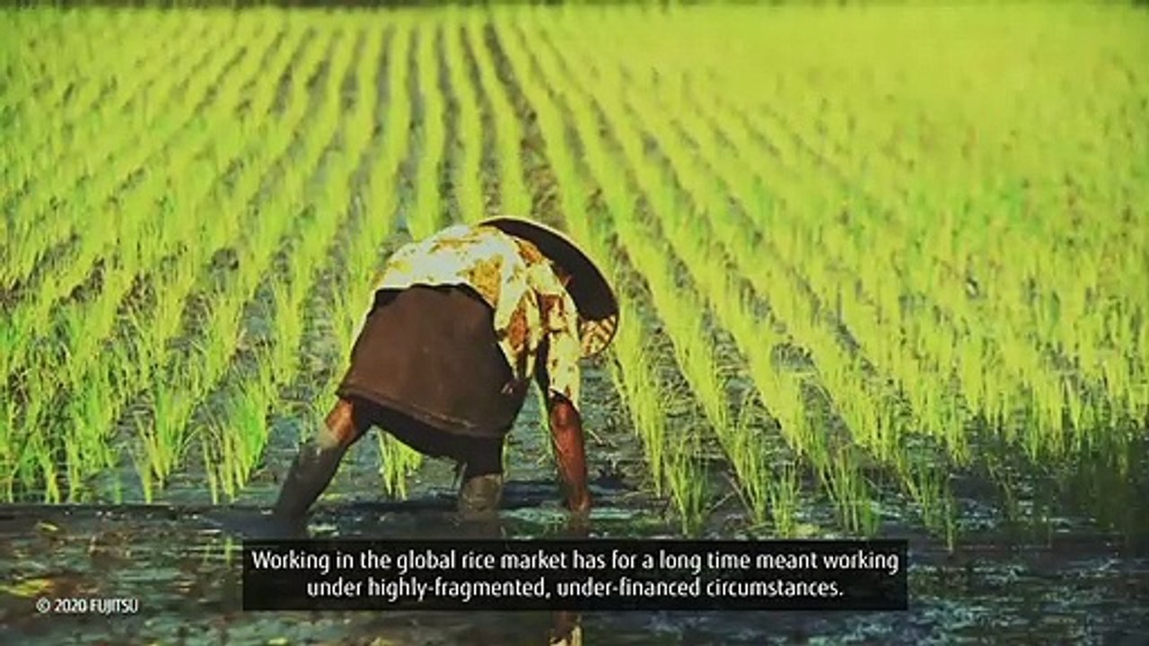 Blockchain Distributed Ledger Technology Consortia