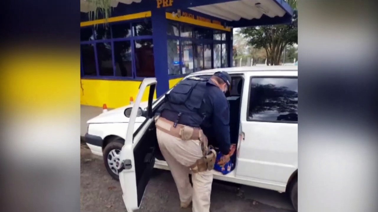 Droga que saiu de Cascavel com destino a Ponta Grossa é apreendida pela PRF