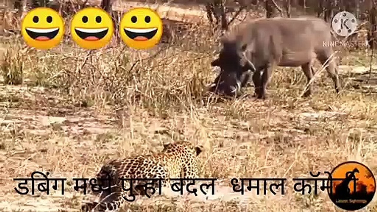 लक्ष्मीकांत भिसे यांच्या आवाजात कॉमेडी व्हिडिओ Laxmikant Bhise /Laxmikant Bhise All Video//Comedy