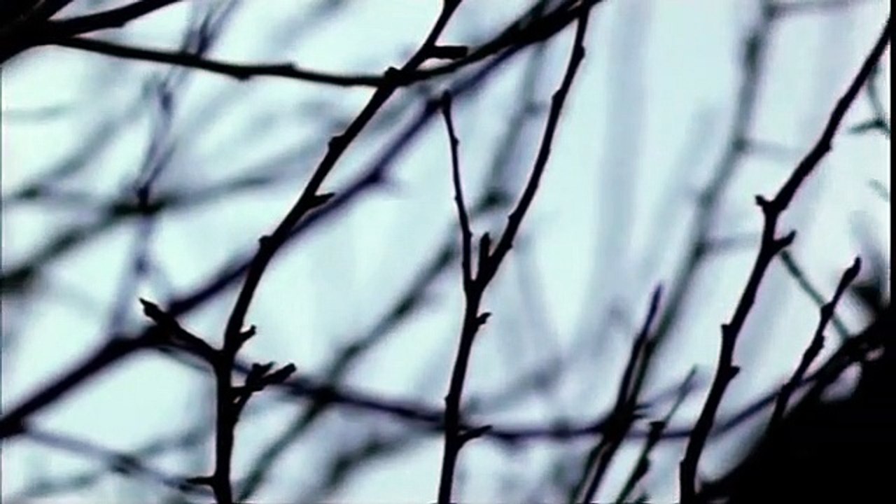 The Ruth Rendell Mysteries: The Fallen Curtain (1999) – A Gripping Crime Thriller 🕵️‍♂️