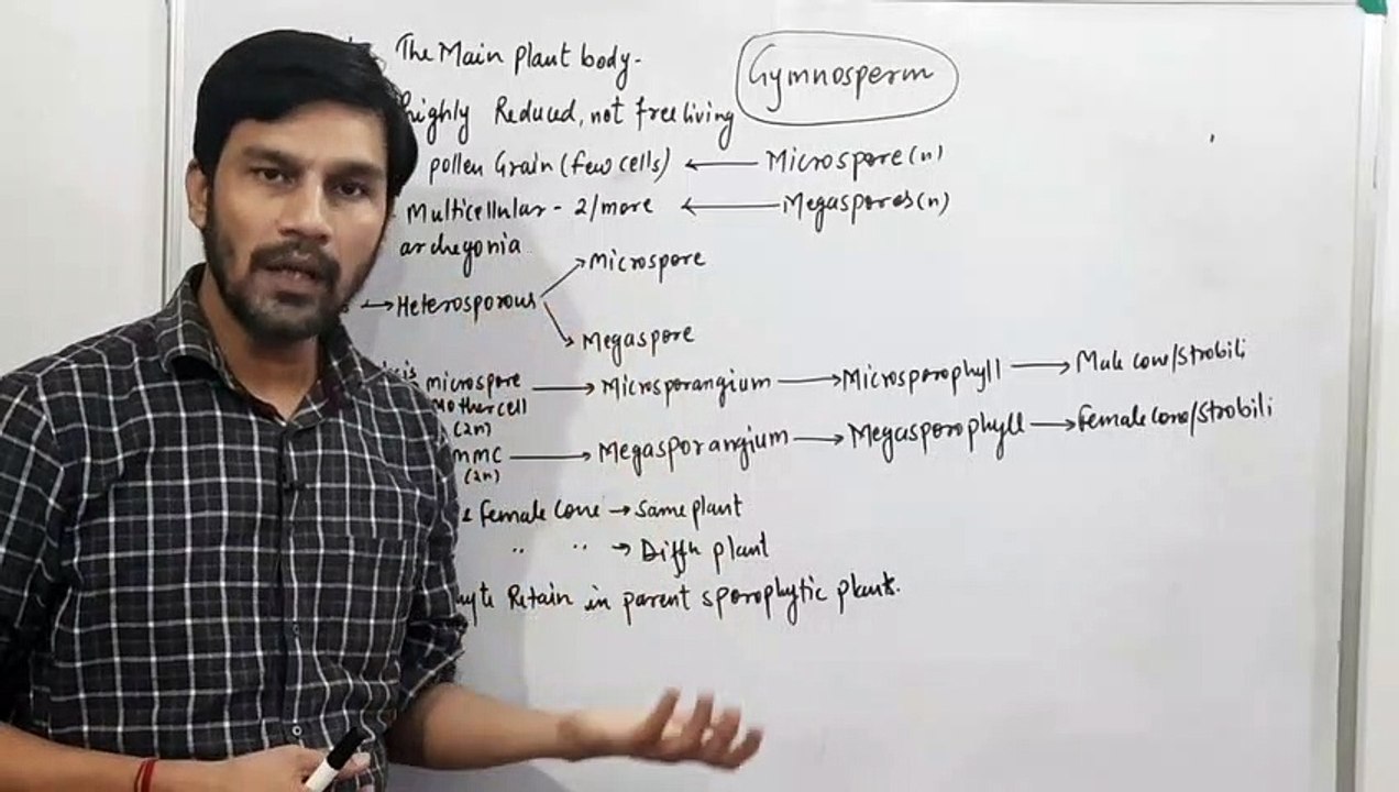 Gymnosperms Part-2 Sporophyte & Gametophyte