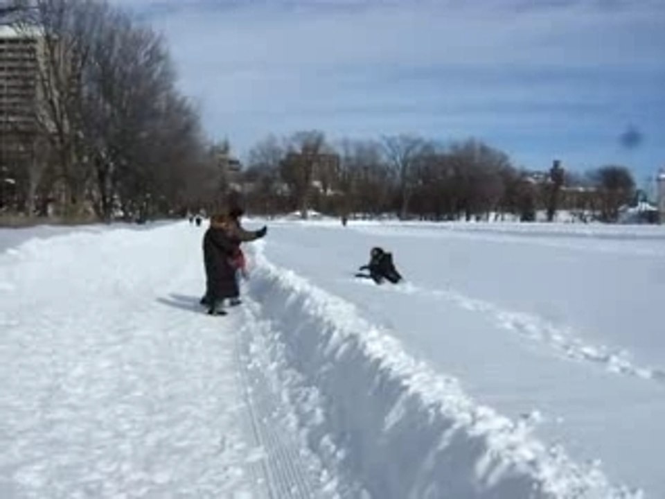 Une promenade sur les plaines d'Abraham