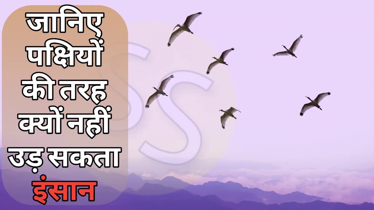 जानिए पक्षियों की तरह क्यों नहीं उड़ सकता इंसान || Know why humans cannot fly like birds | Insan kyon nahin uth Sakta | pakshi kaise udate he | pakshi ke udane ke piche kya science hai| Insan pakshi ki tarah ud kyu nhi sakta | Sumit Saini IQ | Sumit Sain