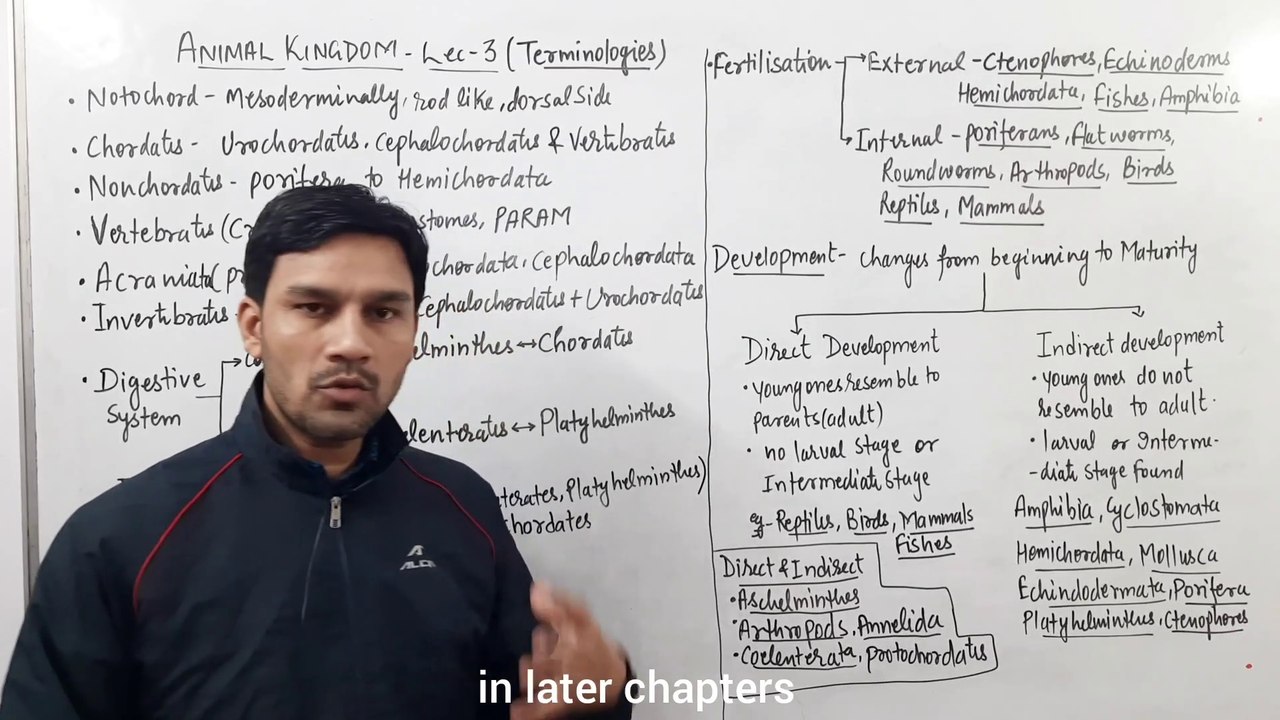 Animal kingdom(Part:3)-Notochord & Other Terminologies