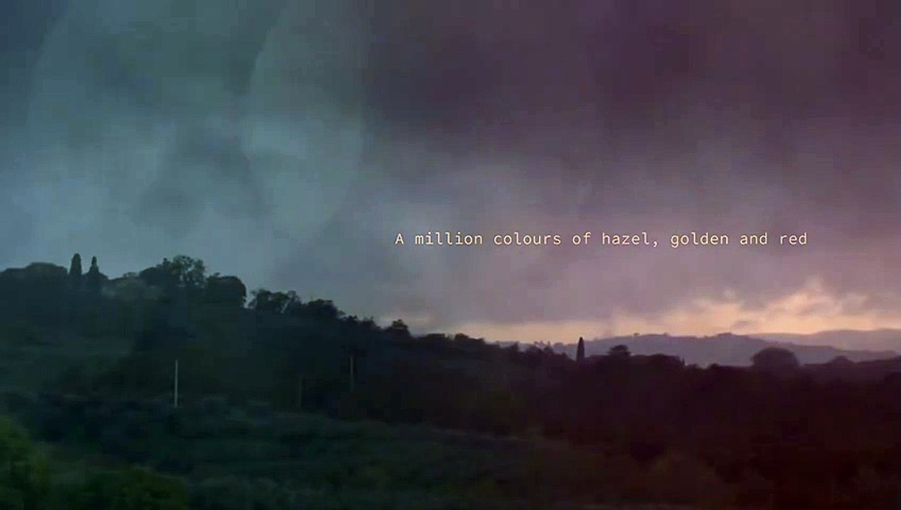 Ed Sheeran - Afterglow [Official Lyric Video]