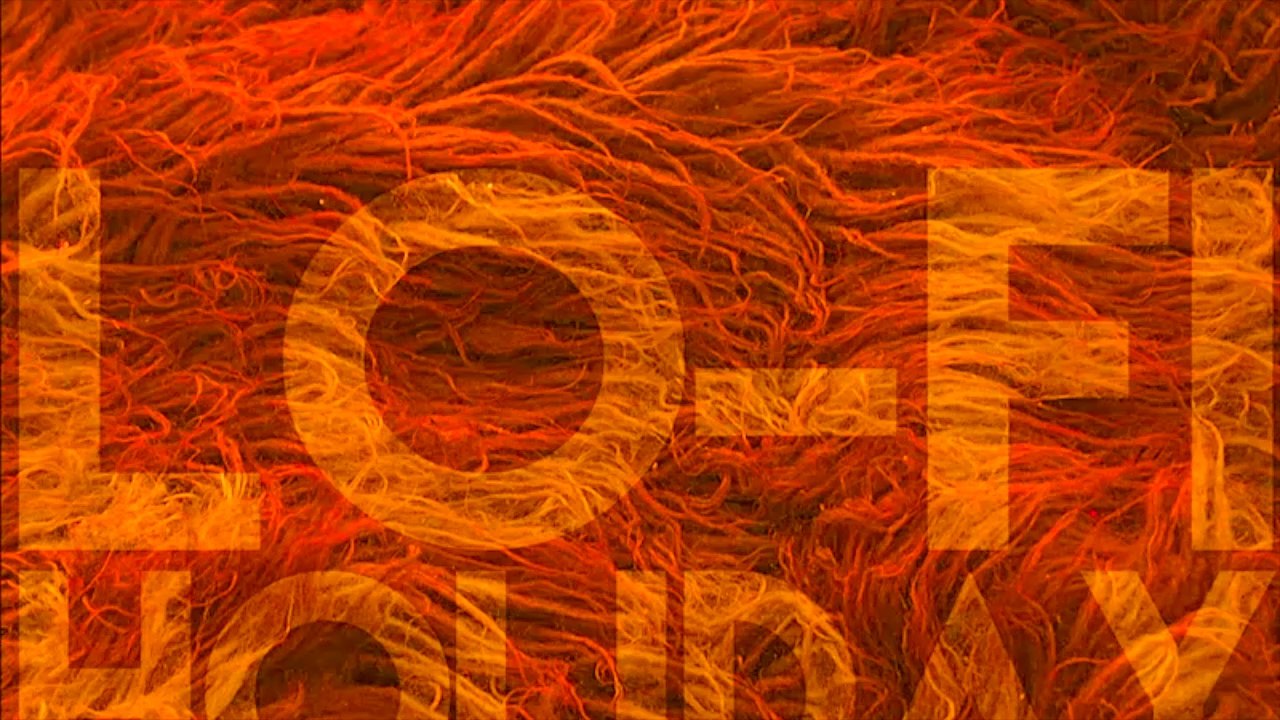 MushMagnet Visual: Eye-Catching Design