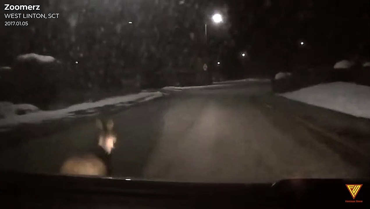 Nearly hit a deer West Linton 2017.01.05 — WEST LINTON, SCT