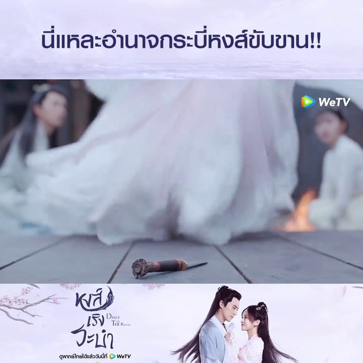 Hollywood Action since,