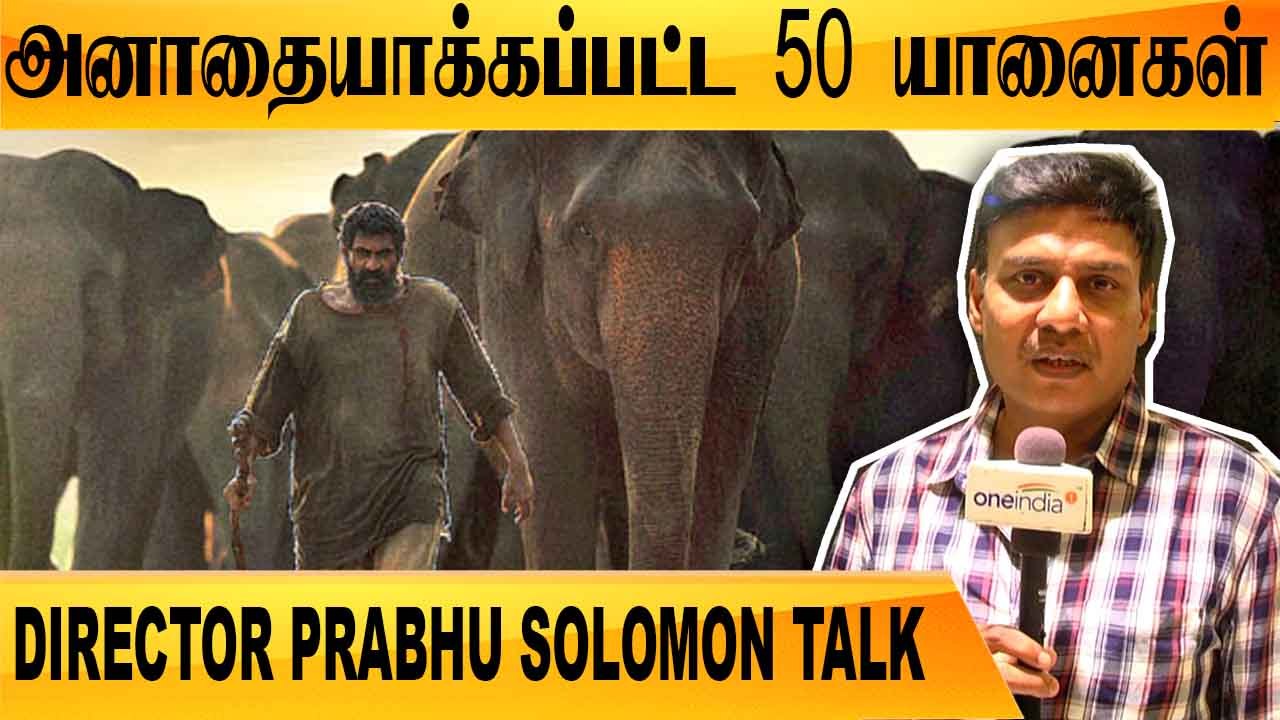 KAADAN ஒரு  உண்மை சம்பவக் கதை   | DIRECTOR PRABHU SOLOMON TALK | KAADAN | FILMIBEAT TAMIL
