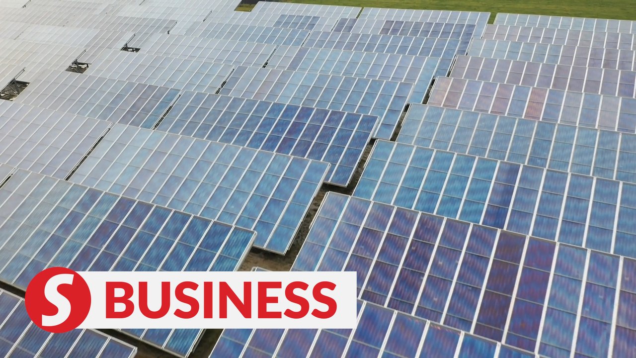 10 listed companies won LSS4 projects