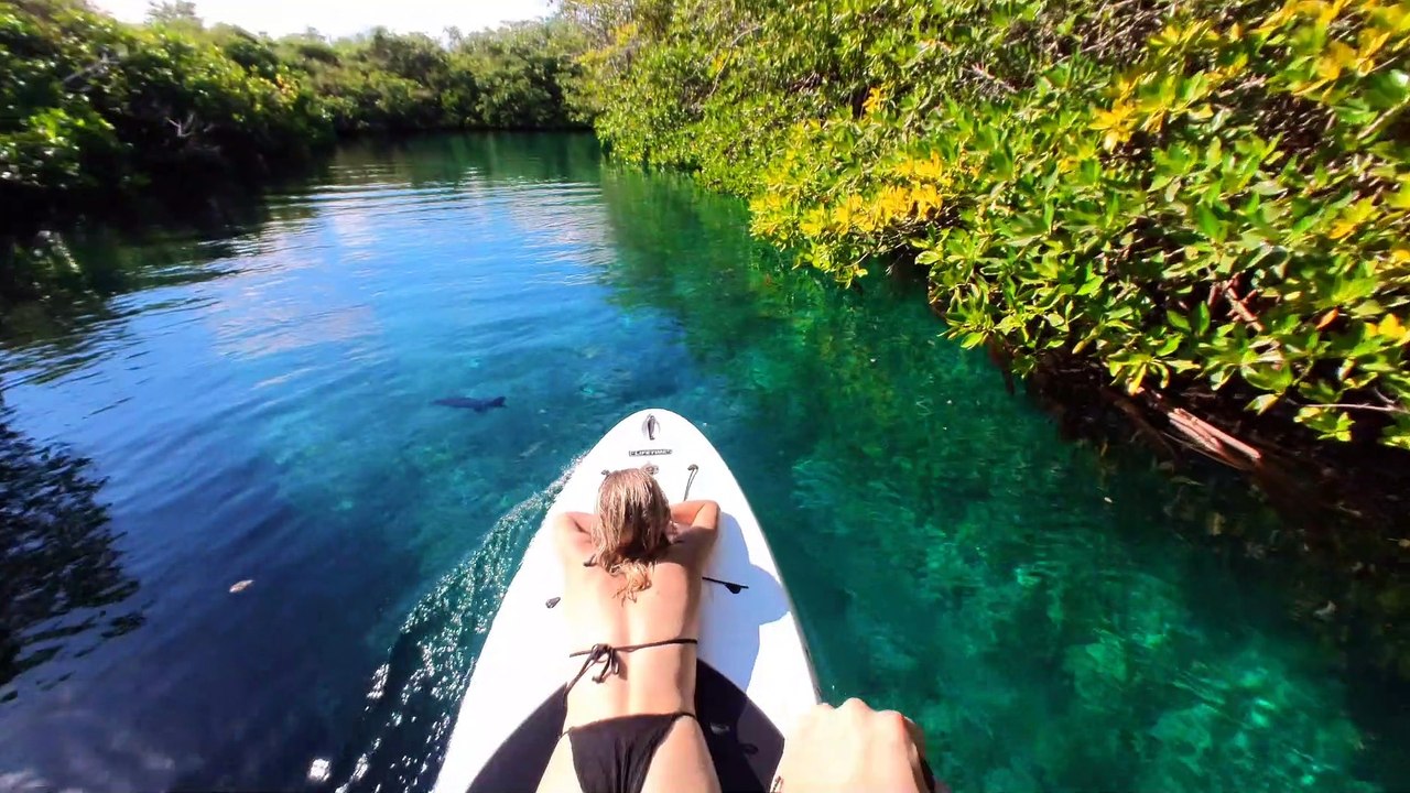 Présentation de l'Insta360 GO 2