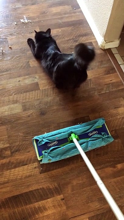 Sweeping is Difficult with Nyx Around