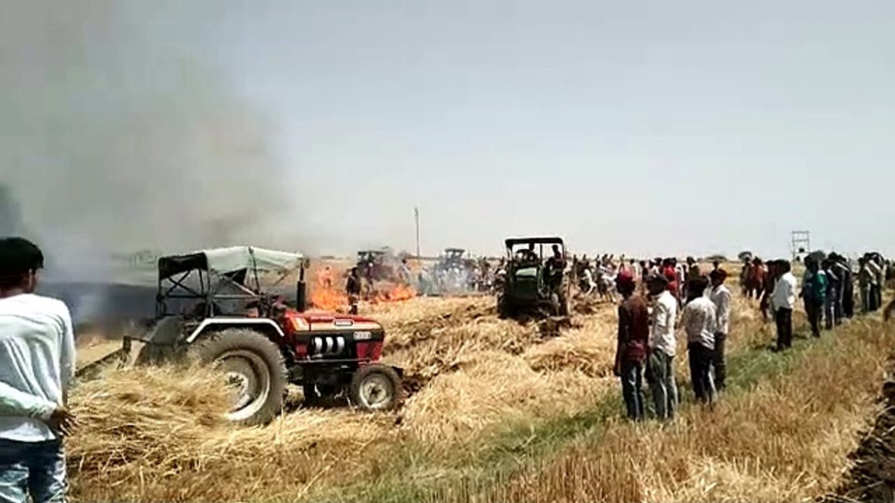 example of communal harmony