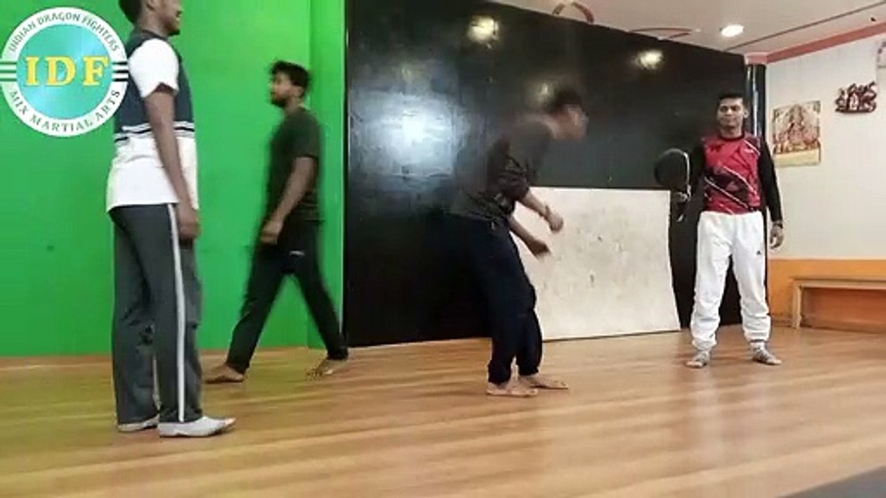 Dolio kick roundhouse kick