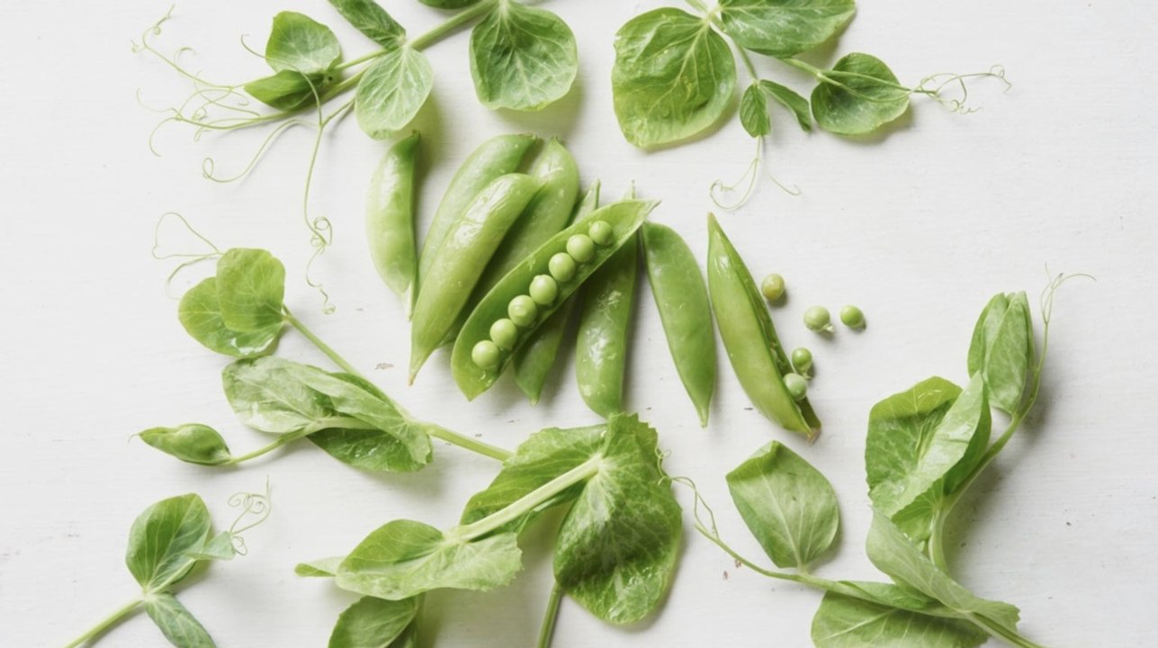 Fresh Pea Shoots: What They Are and How to Eat Them