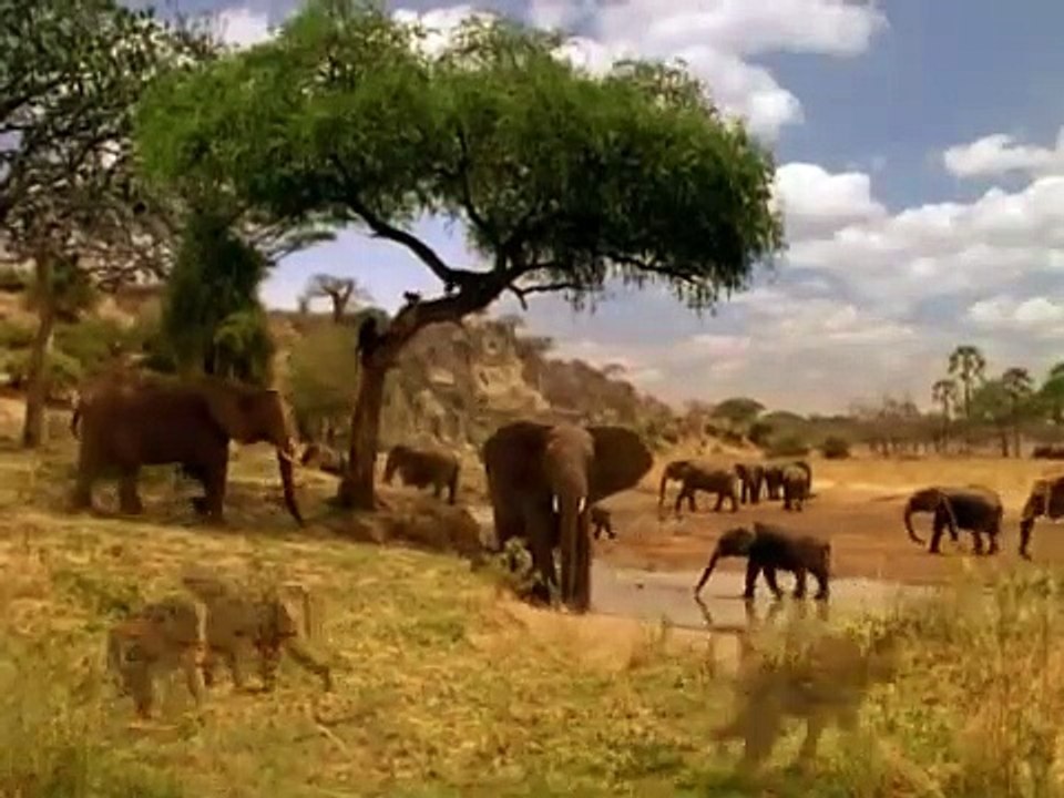 Michael Jackson - Earth Song (Official Video)