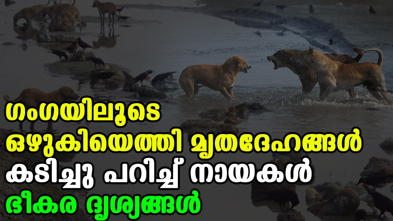 Bodies floating in Ganga | Oneindia Malayalam
