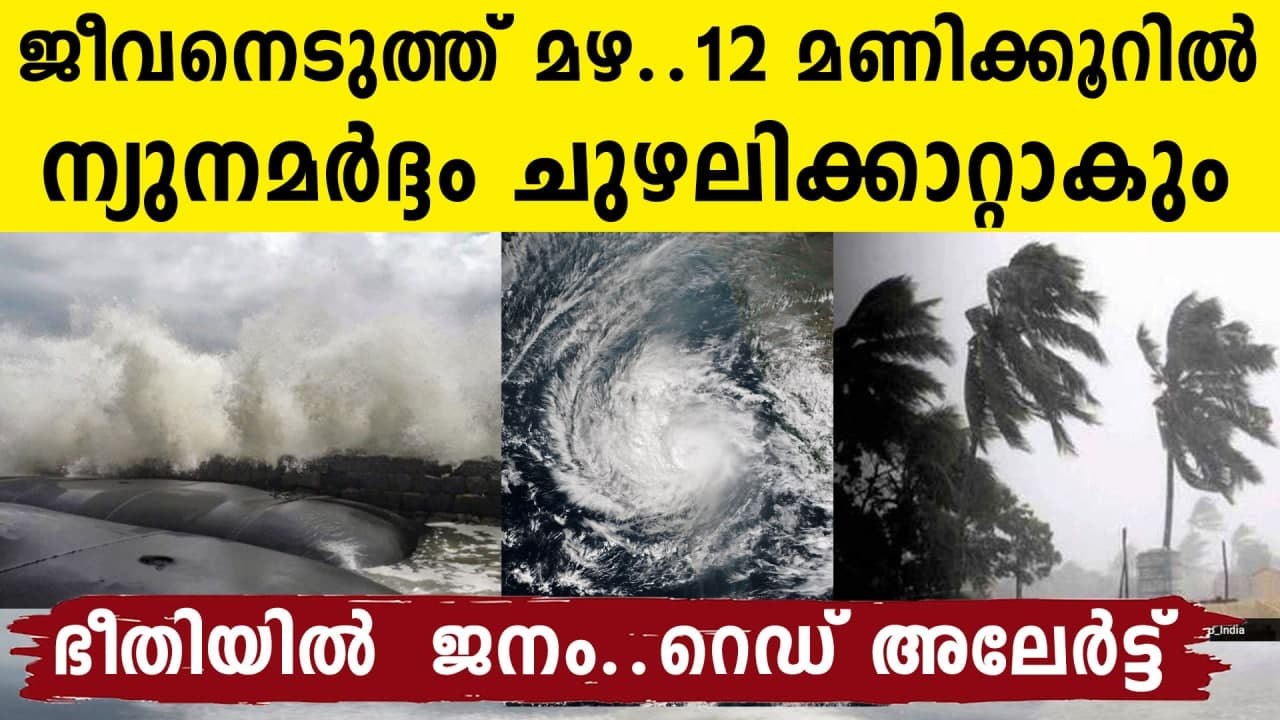 Kerala rain: Red alert in 5 districts | Oneindia Malayalam