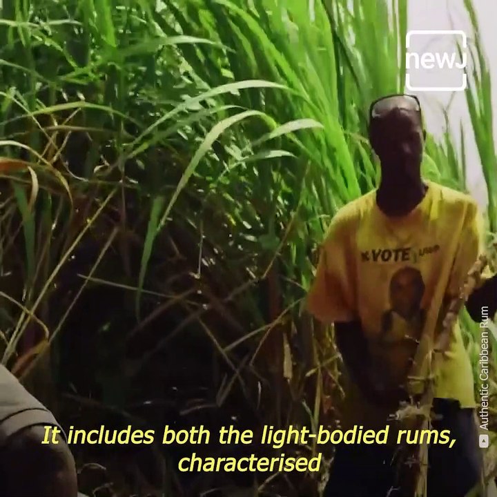 Explained- The Origin And History Of Rum