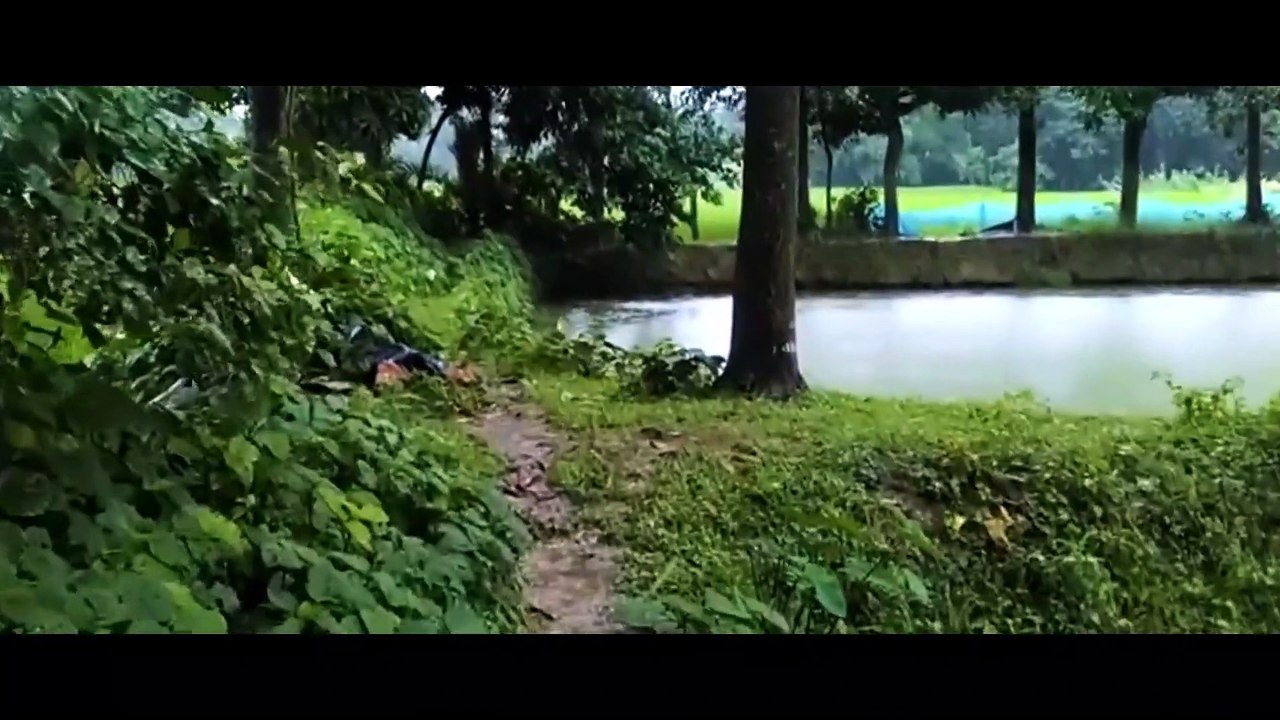 Top Rainy Bollywood Hit Songs to Elevate Your Mood 🎶