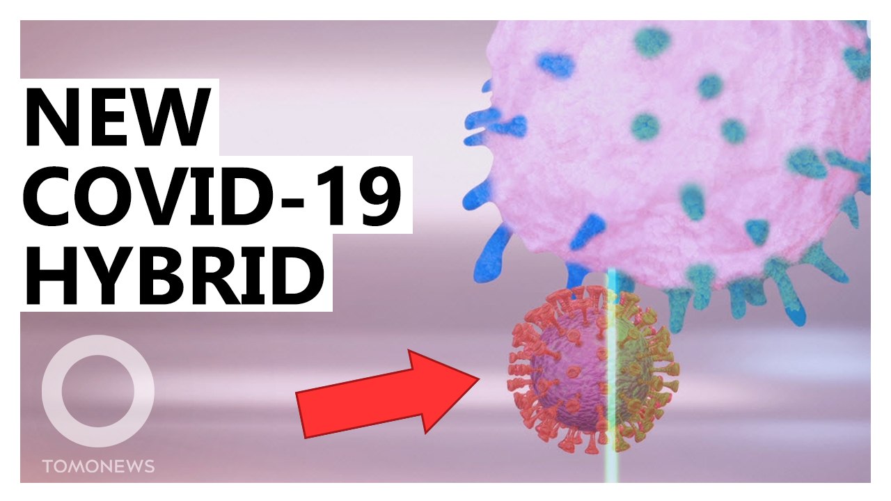 New Hybrid of UK and Indian COVID Variants Found