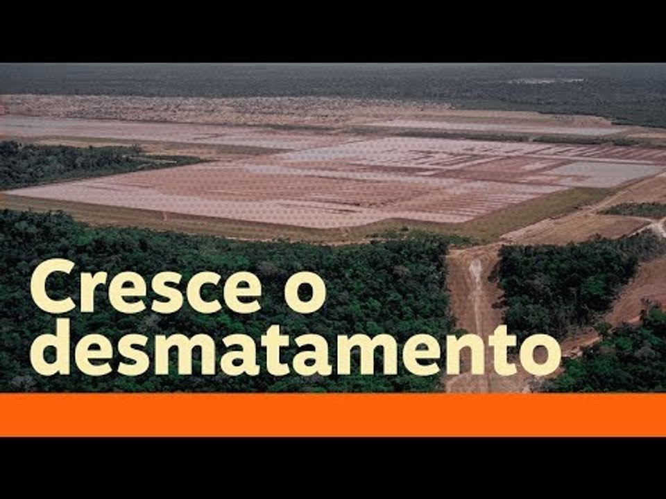Bolsonaro ataca a ciência e os dados sobre o desmatamento na Amazônia