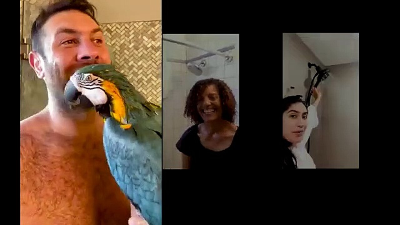 powerful shower modes, 50 % savings