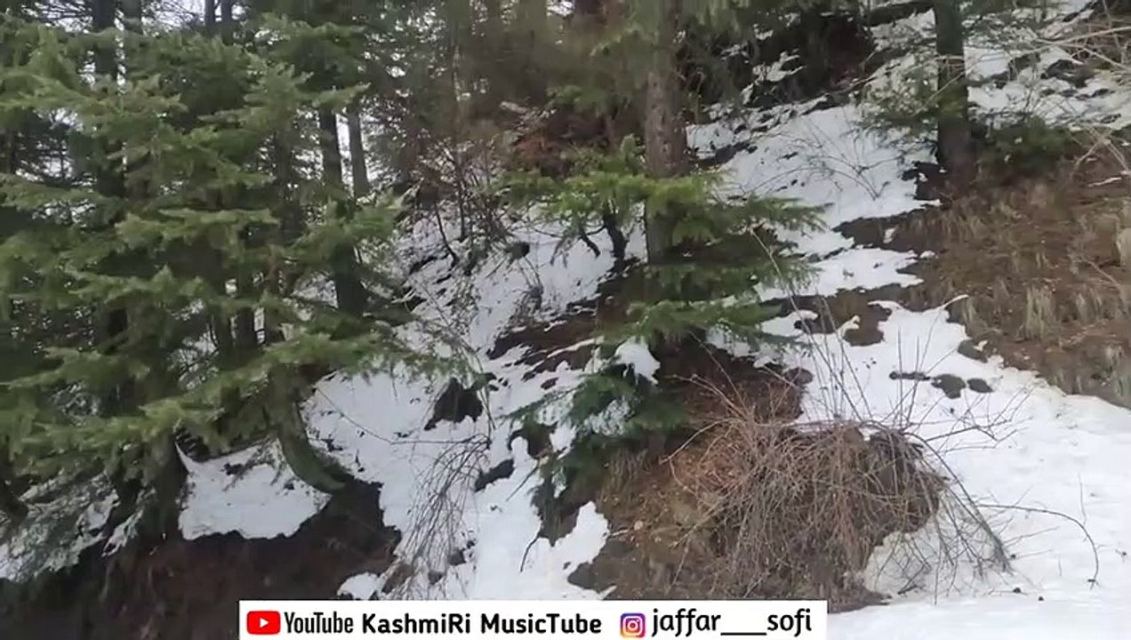 Latest Kashmiri Song. Superhit Kashmiri Song 2021. Kashmiri Songs. KashmiRi M_HIGH