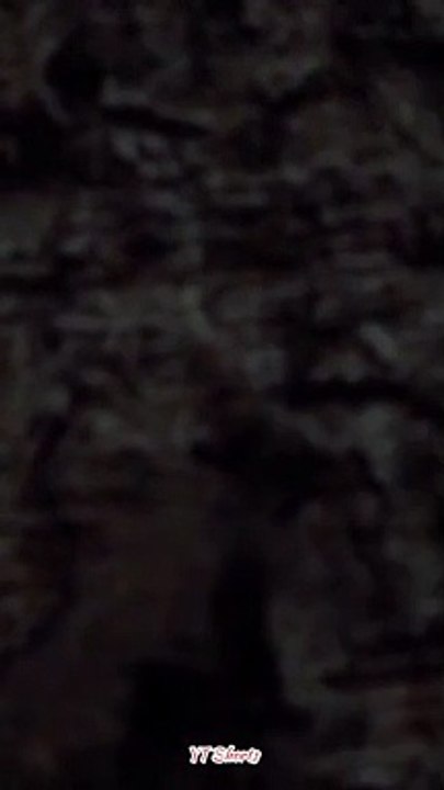 Cinematic nature view | Nature lover | YT Shorts