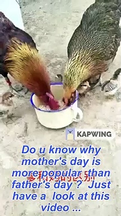 Father and mother difference