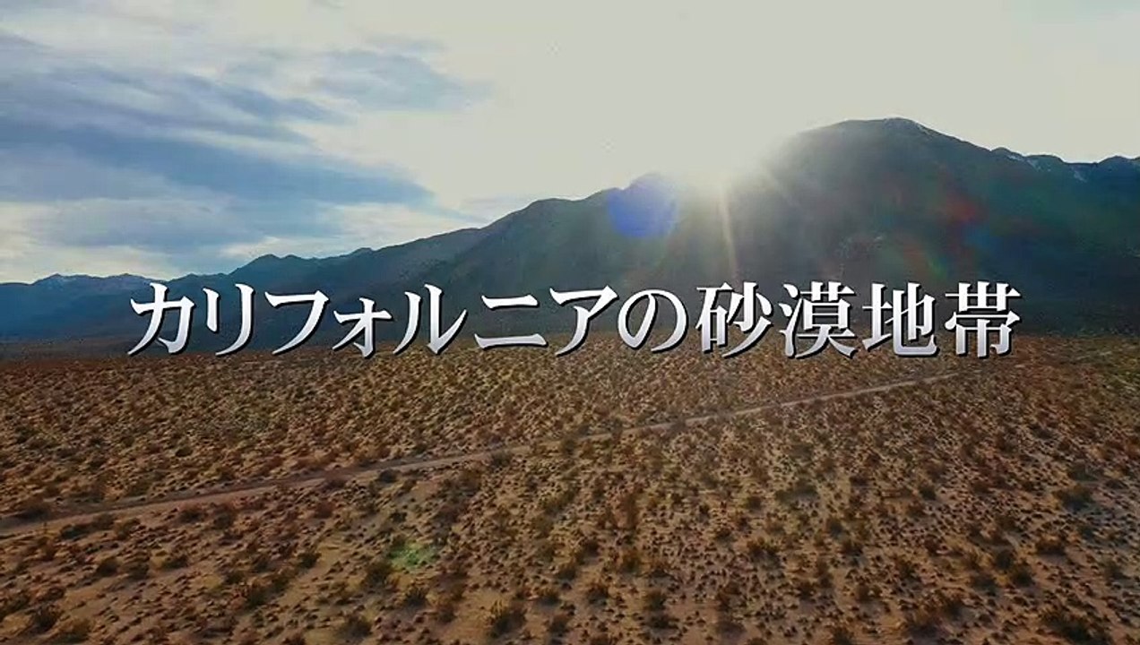 映画『ヴェロキラプトル』