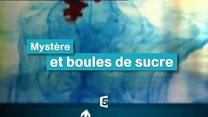 France 5 : C.N, B.A : 09-01-2011