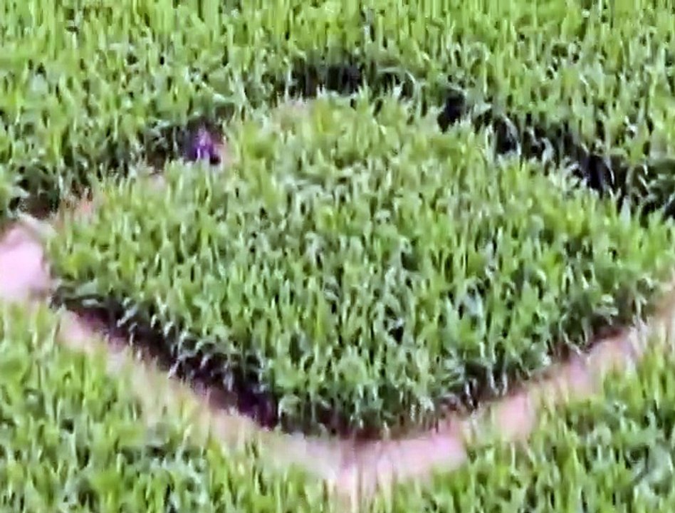 Labirinto, Alemanha, Jogos Olímpicos,