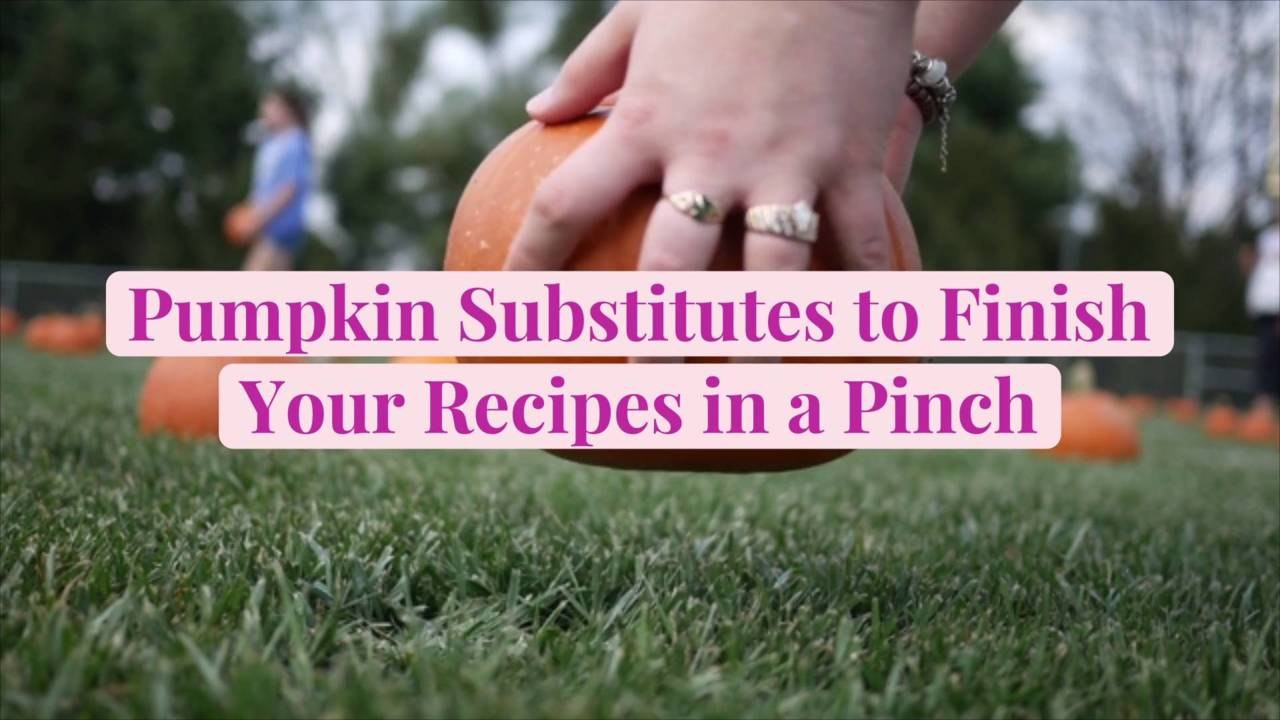 Pumpkin Substitutes to Finish Your Recipes in a Pinch