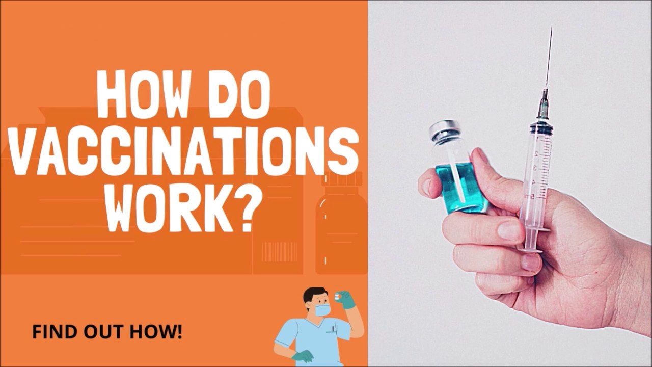 How Do Vaccinations Work In The Body?