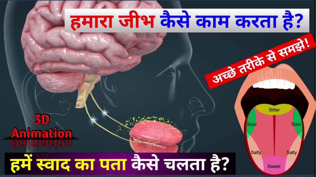 हमारी जीभ कैसे काम करती है | How does our tongue works | @The SCIENCE news - हिन्दी
