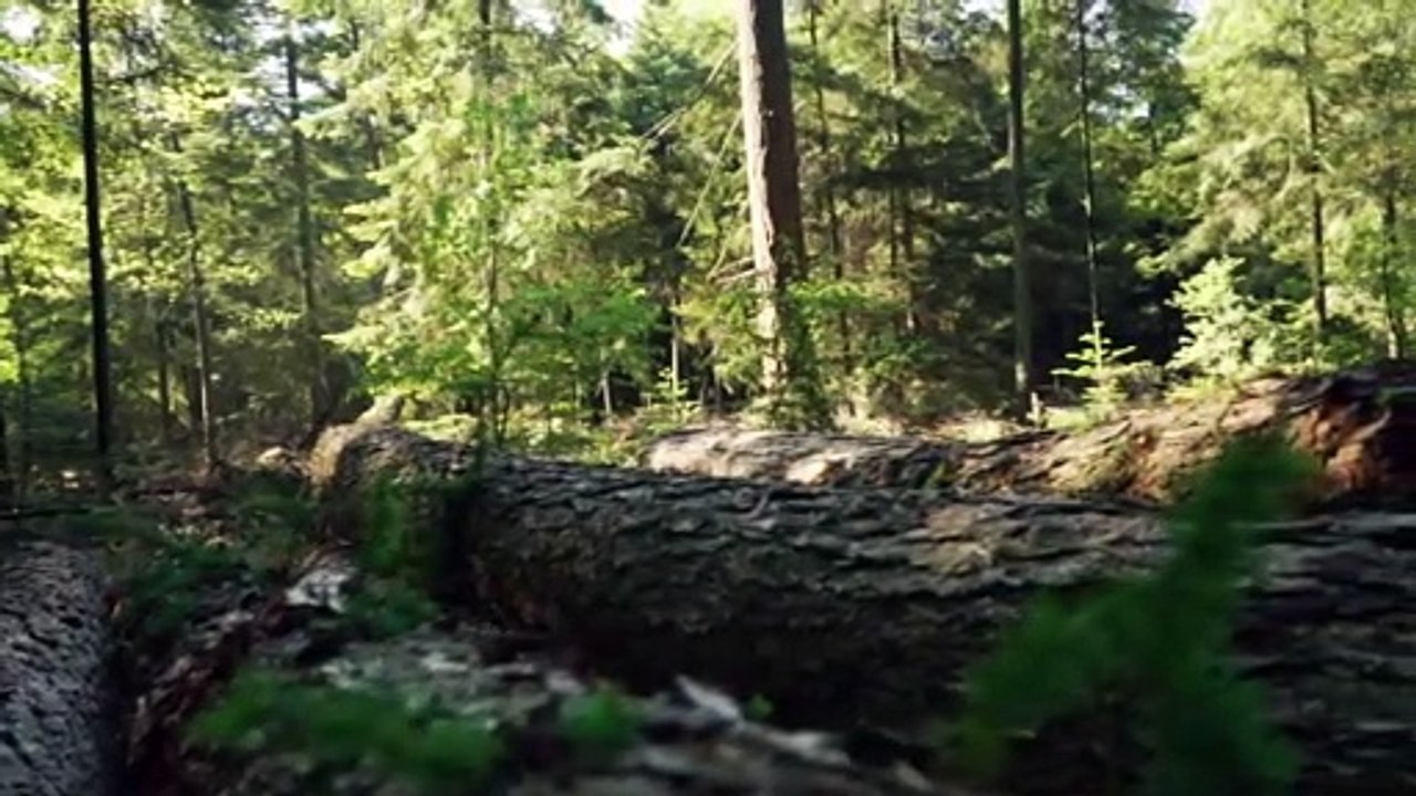 2-Minute Relaxing Piano Instrumental Background Music