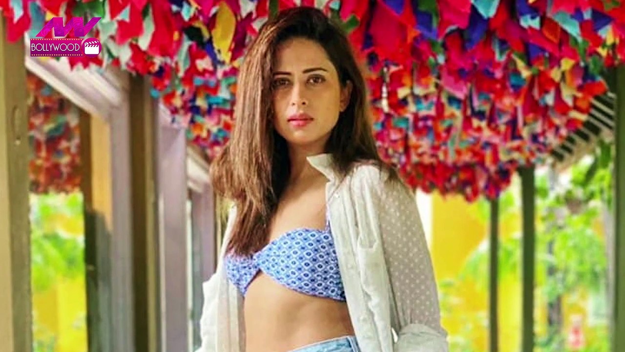 Sargun Mehta की अनसुनी कहानी  | NN Bollywood