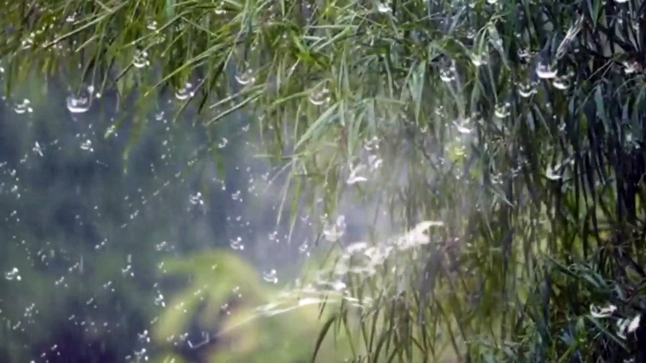 Study Music, Peaceful Music, Meditation Music, Relaxing Music