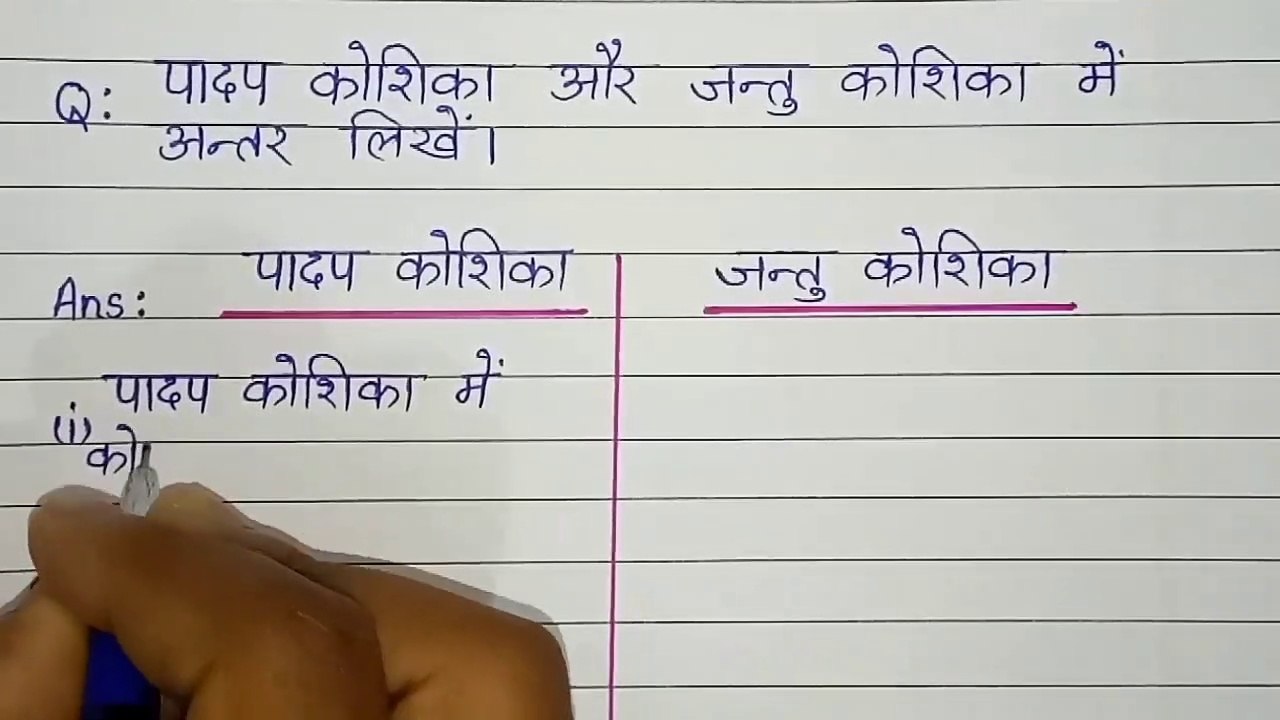 पादप कोशिका और जंतु कोशिका में अंतर। Padap koshika AVN jantu koshika mein antar