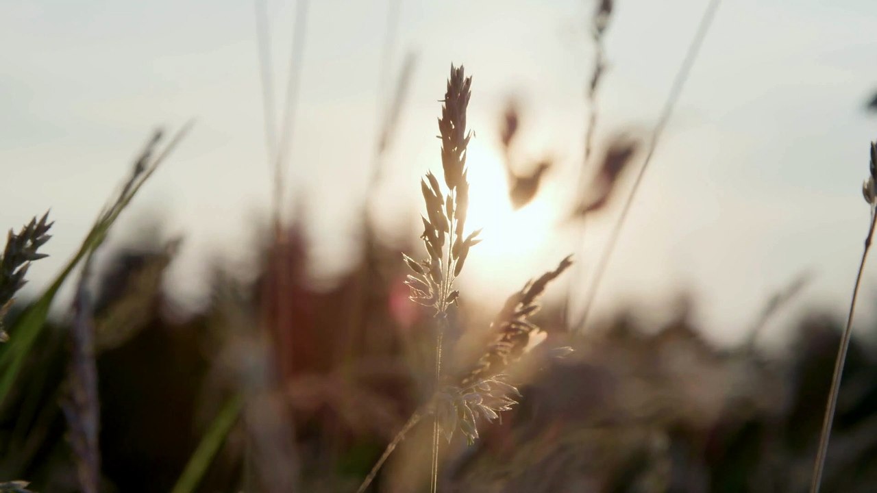 Love My Acoustic Guitar Song 🎸