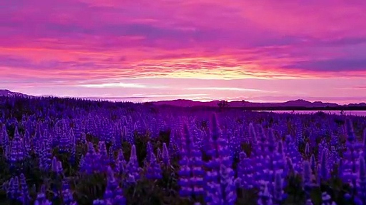 video NOT created for kids