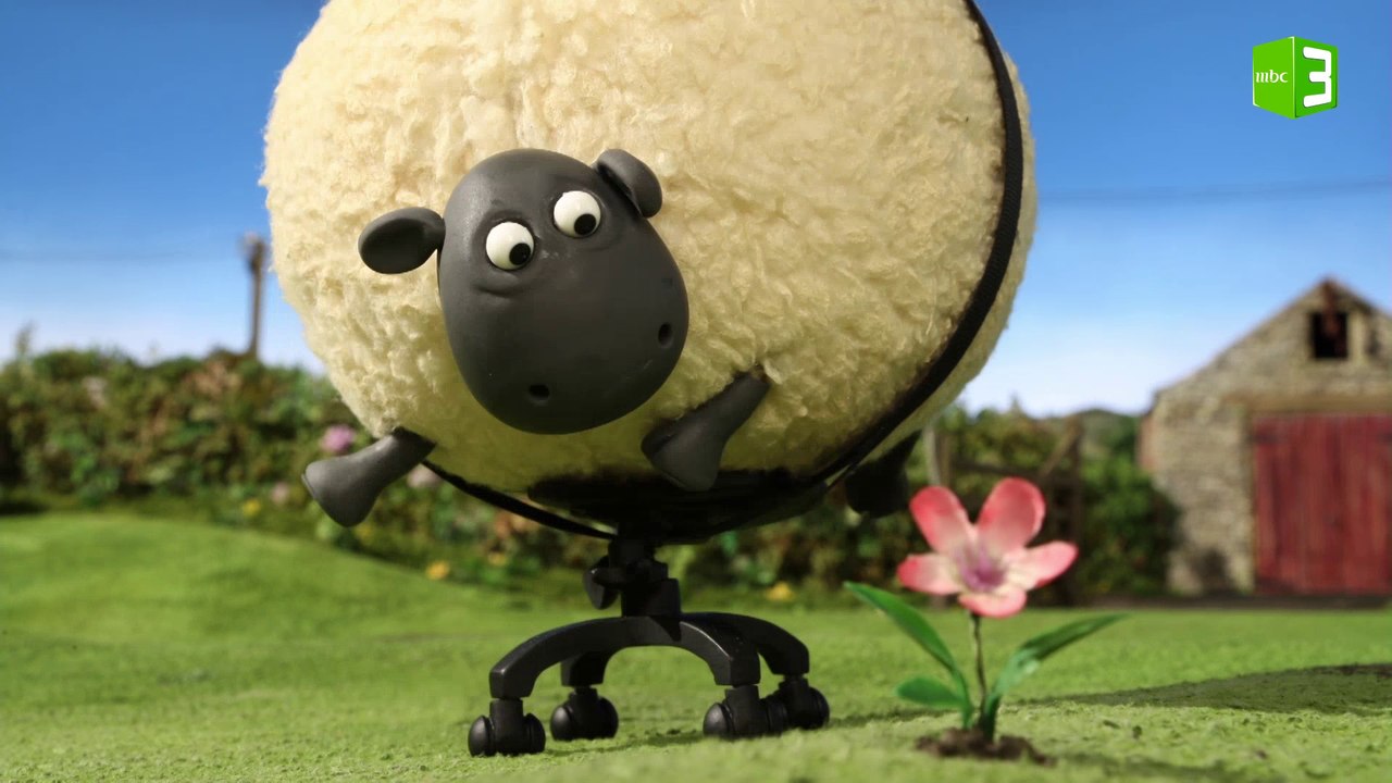 الخروف الضخم على الكرسي المتحرك