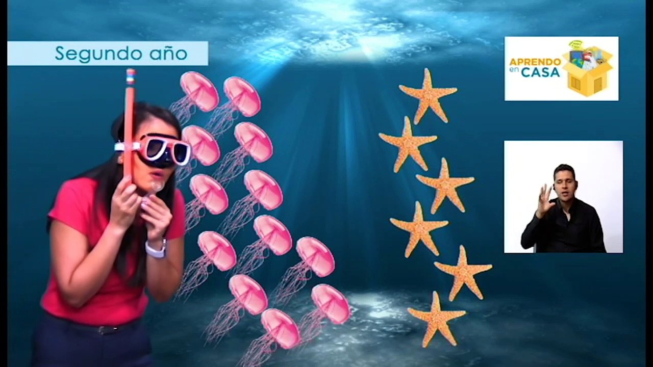#AprendoEnCasa Matemáticas: Concepto de multiplicación (Segundo Año - Primaria)