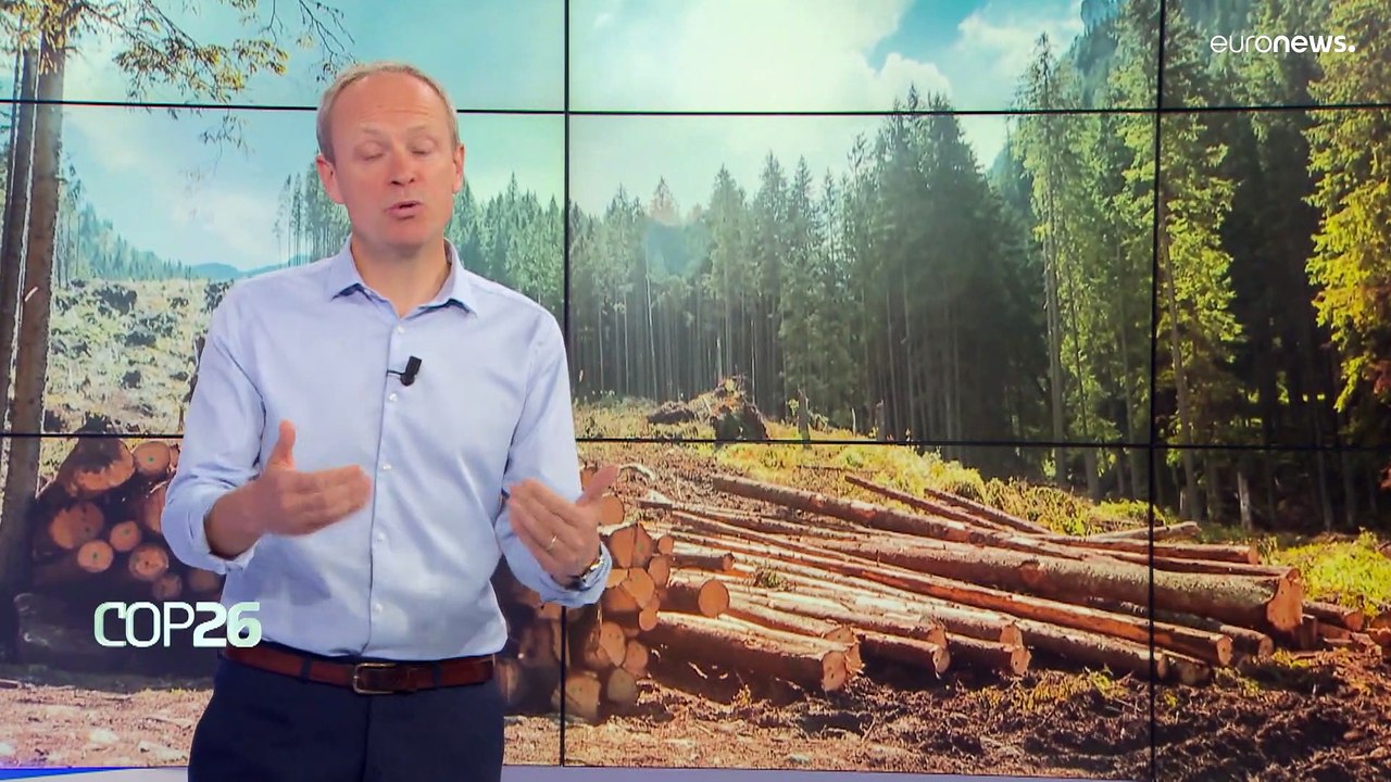 What's the difference between Co2 concentrations and emissions?