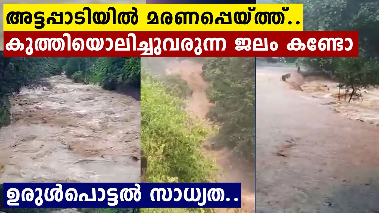 Attappadi Experiences Heavy Rainfall Continues 🌧️