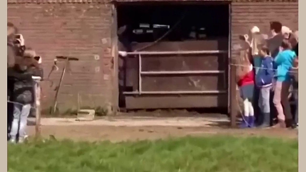 Alright! Moments That Will Make Your Day