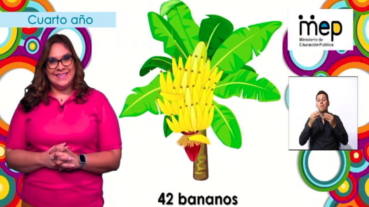 #AprendoEnCasa Matemática: Fracciones propias y su representación (Cuarto Año - Primaria)