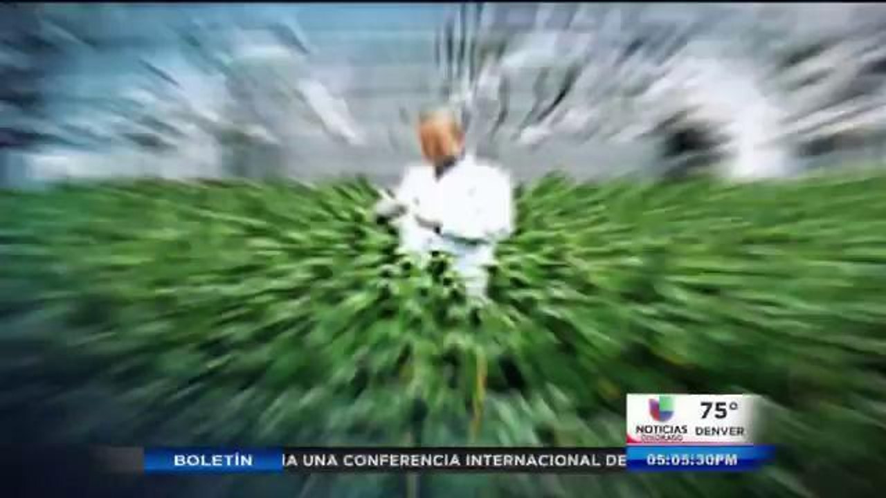 Uso de tarejtas de asistencia pública