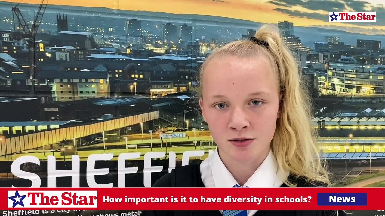 How important is it to have diversity in schools?